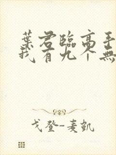 叶君临高手下山我有九个无敌师父封面