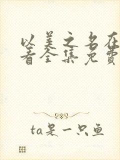 以美之名在线观看全集免费