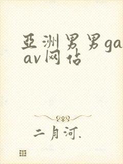 亚洲男男gay av网站