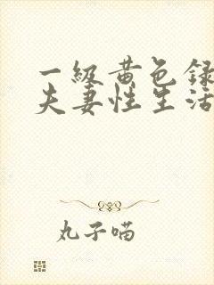 一级黄色录像,夫妻性生活