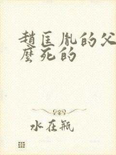 赵匡胤的父亲怎么死的封面