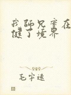 我师兄实在太稳健了境界封面