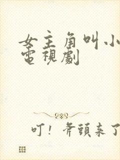 女主角叫小小的电视剧