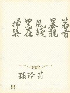 扫黑风暴第19集在线观看免费完整版封面