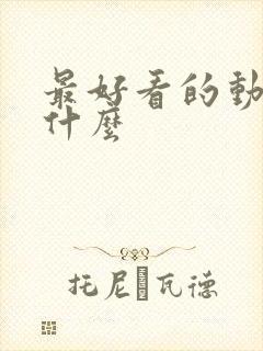 最好看的动漫是什么