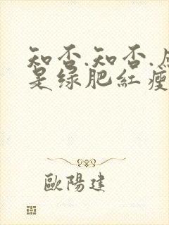 知否.知否.应是绿肥红瘦是什么意思封面
