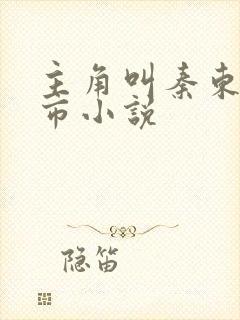 主角叫秦东的都市小说封面