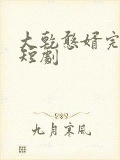大乾憨婿完结篇短剧