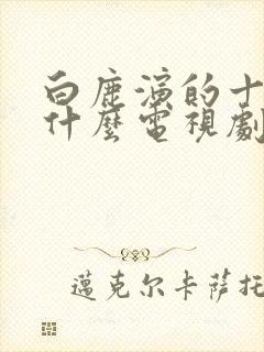 白鹿演的十一是什么电视剧封面