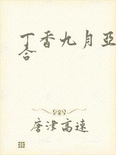 丁香九月亚洲综合