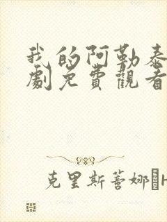 我的阿勒泰电视剧免费观看下载封面