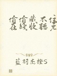 偷偷藏不住小说在线收听免费