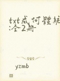 txt成何体统:全2册封面