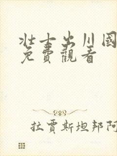 壮士出川国语版免费观看