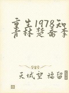 重生1978知青林楚乔李向南结局