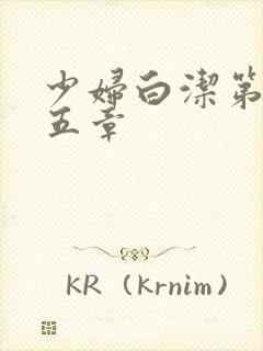 少妇白洁第二十五章封面