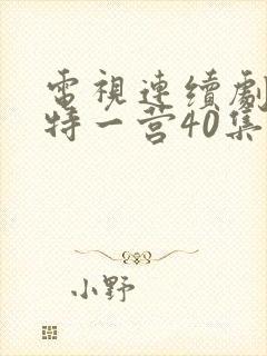 电视连续剧我的特一营40集