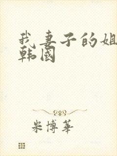 我妻子的姐姐3韩国