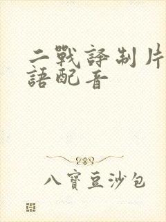 二战译制片 国语配音