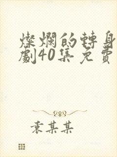 灿烂的转身电视剧40集免费观看全集高清