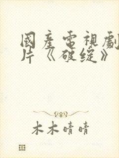 国产电视剧谍战片《破绽》免费观看