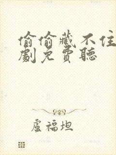 偷偷藏不住广播剧免费听