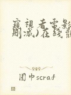 窥视者电影(无删减)在线观看