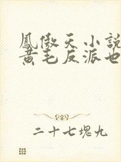 凤傲天小说里的黄毛反派也想幸福小封面