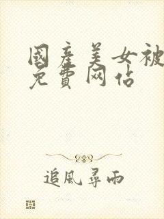 国产美女被高潮免费网站