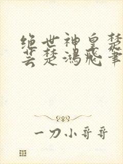 绝世神皇楚风楚芸楚鸿飞笔趣阁