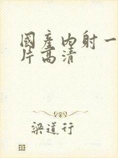 国产内射一级一片高清