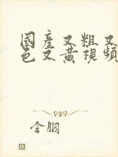 国产又粗又猛又色又黄视频