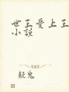 世王爱上王默的小说