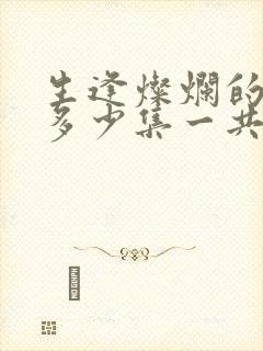 生逢灿烂的日子多少集一共封面