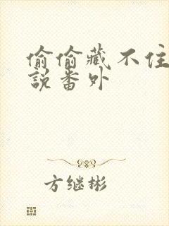 偷偷藏不住 小说番外