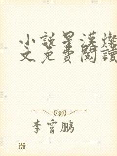 小说星汉灿烂全文免费阅读封面