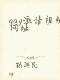 gay激情视频网址