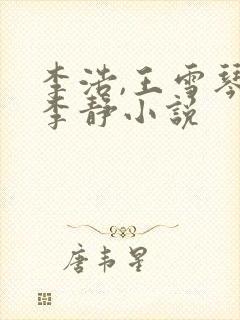 李浩,王雪琴,李静小说