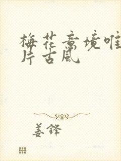 梅花意境唯美图片古风封面