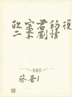 政宗君的复仇第二季剧情