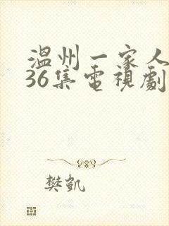 温州一家人1—36集电视剧免费