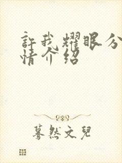 许我耀眼分集剧情介绍