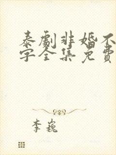 泰剧非婚不可中字全集免费观看