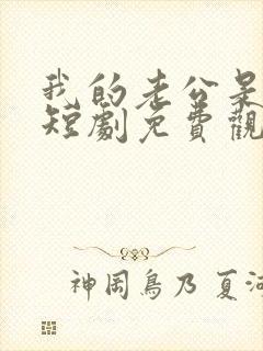 我的老公是总裁短剧免费观看全集