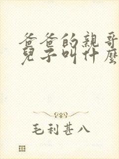 爸爸的亲哥哥的儿子叫什么封面