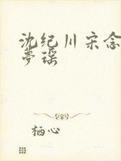 沈纪川宋念念阮梦瑶