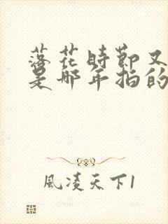 落花时节又逢君是哪年拍的