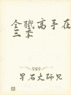 全职高手在线第三季