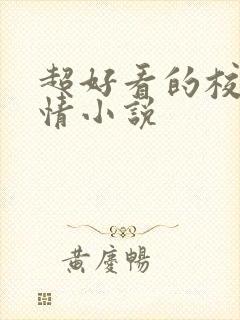 超好看的校园言情小说