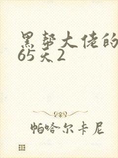 黑帮大佬的第365天2封面